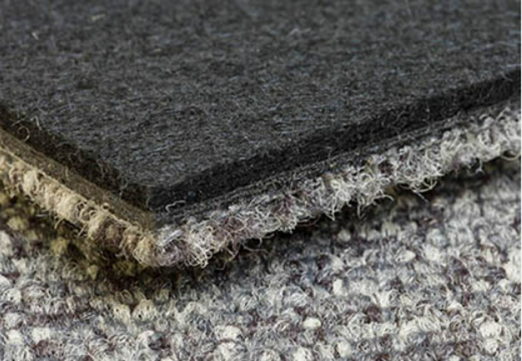 Do Carpets Absorb Sound? Acoustic Properties of Carpet Flooring缩略图